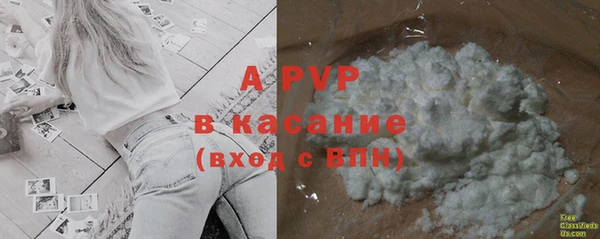 шишки Балахна