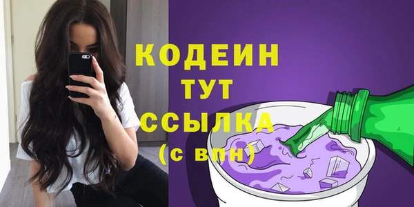 шишки Балахна