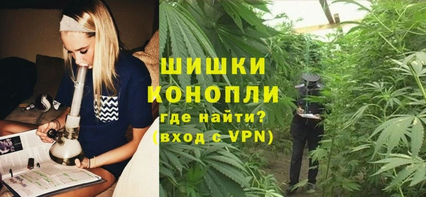шишки Балахна
