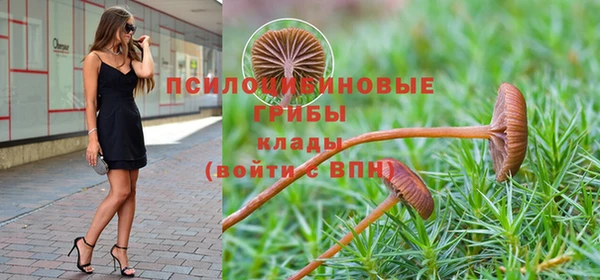 шишки Балахна