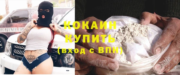 шишки Балахна