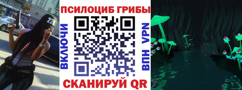 Галлюциногенные грибы мицелий  цены наркотик  Ленинск-Кузнецкий 